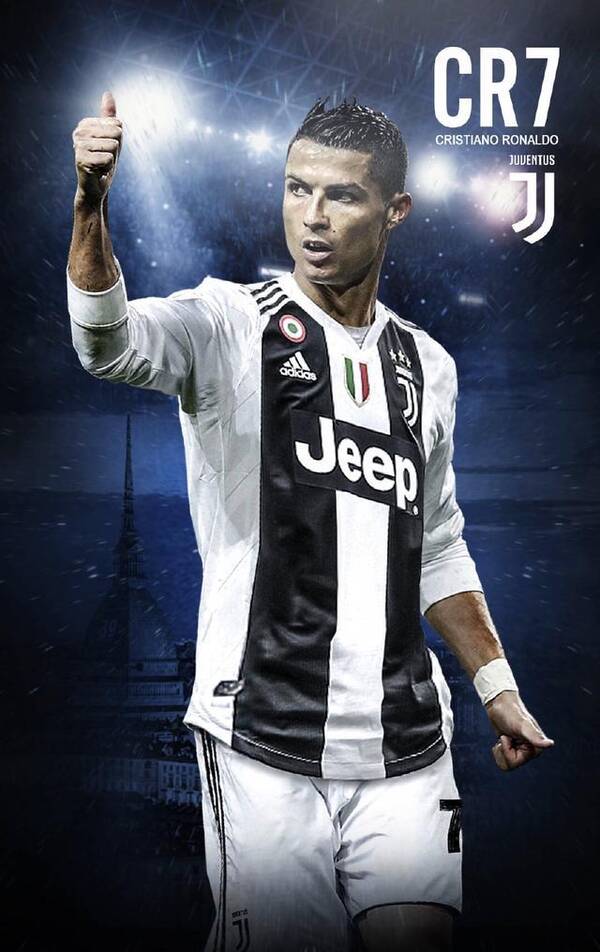 的改革与提 的改革与提