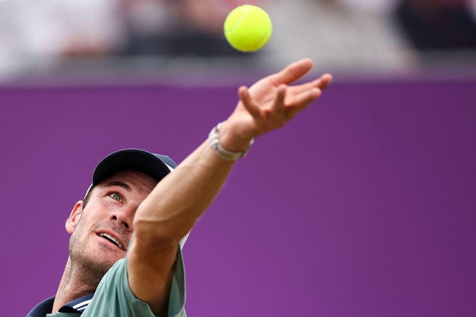 建立可视化 建立可视化